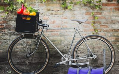 „Fließender Übergang – mit Ernährung und Bewegung den Körper fithalten“ voraussichtlich Mi, 21.2.2024 um 19 Uhr